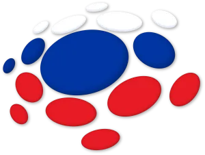 Televízia Slovensko